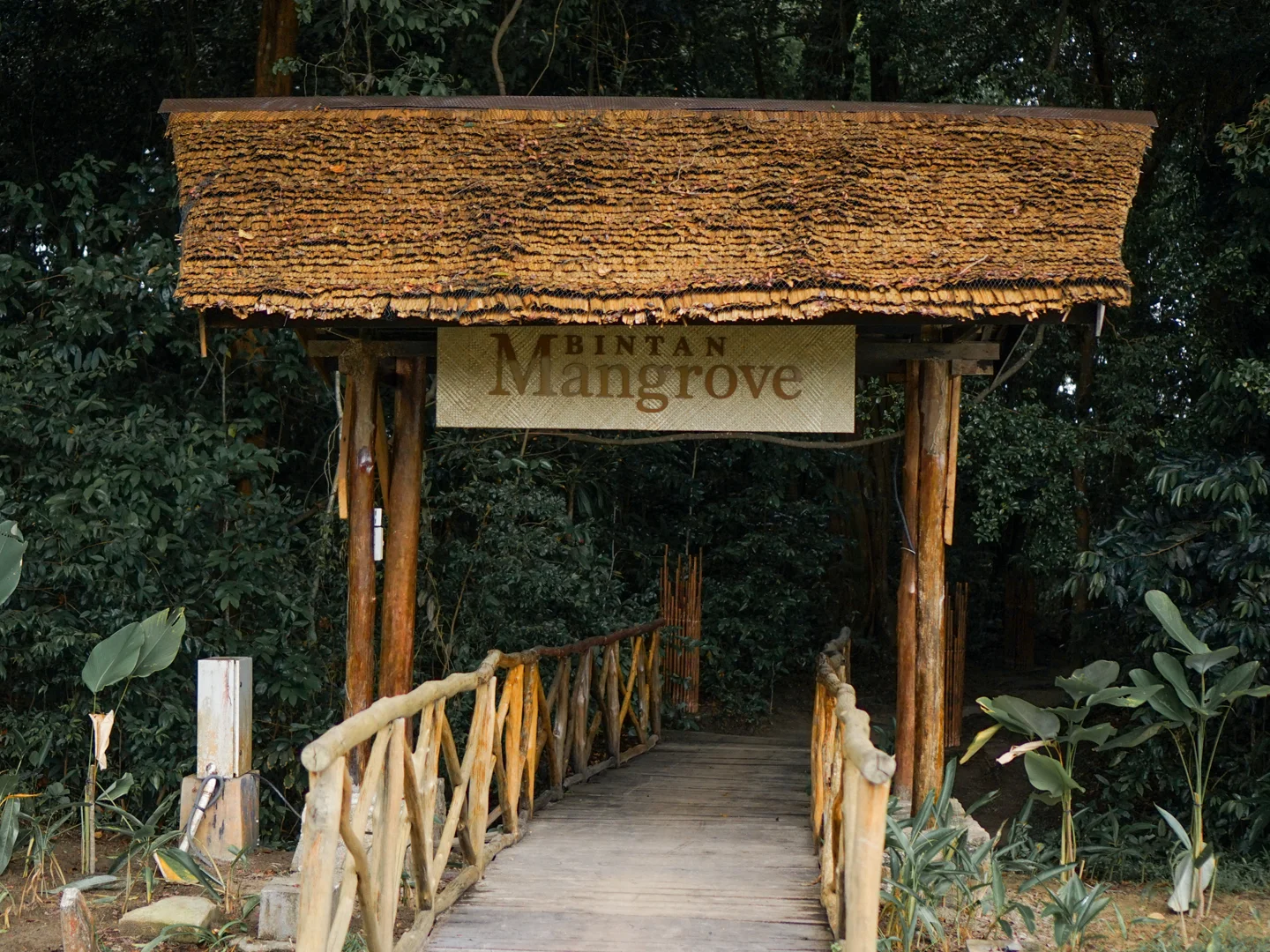 Mangrove Gate