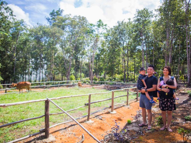 Safari Lagoi Eco Farm - Family