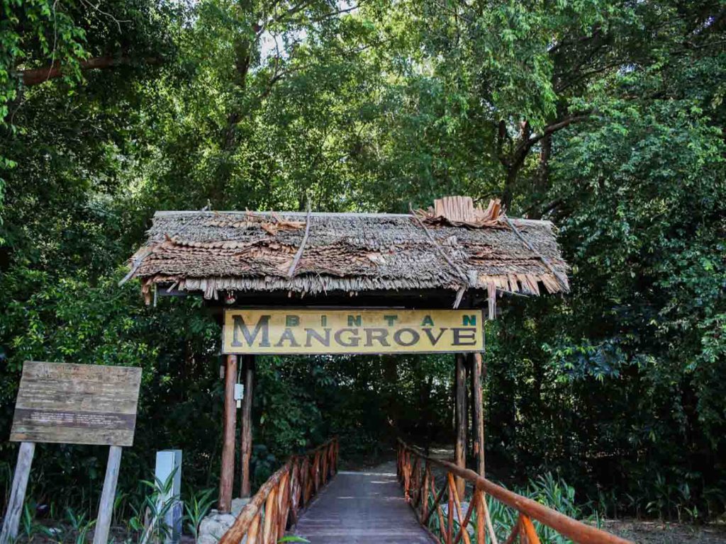 Bintan Mangrove gate