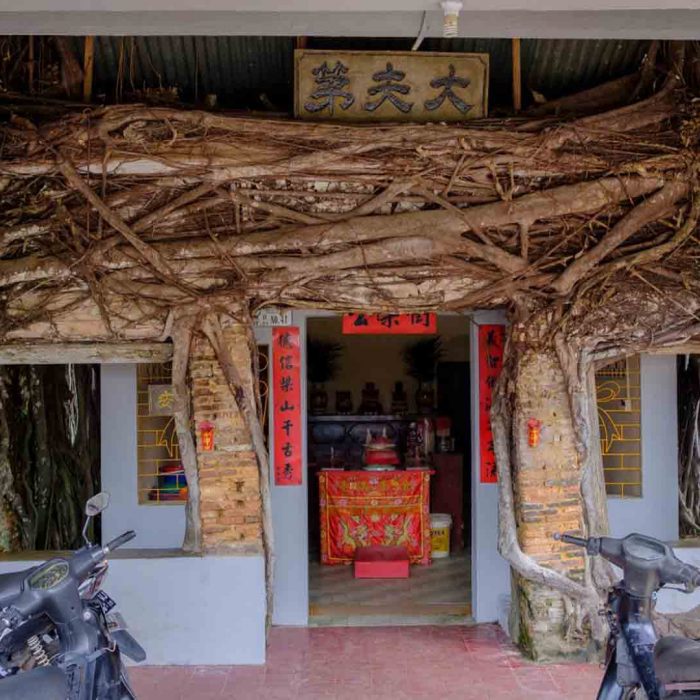 Banyan Tree Temple Senggarang