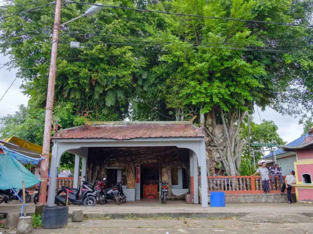 Senggarang Banyan Tree Temple