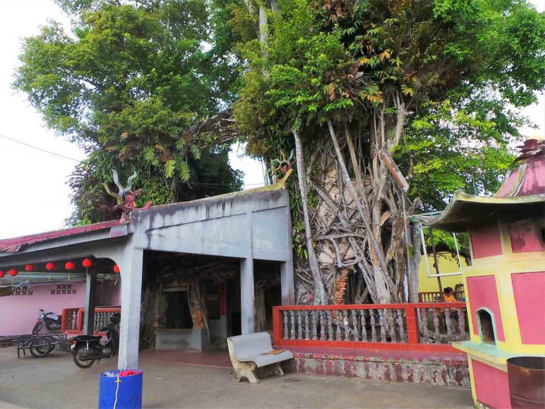 Banyan Tree Temple Bintan