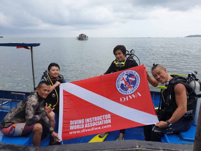 Bintan Black Coral