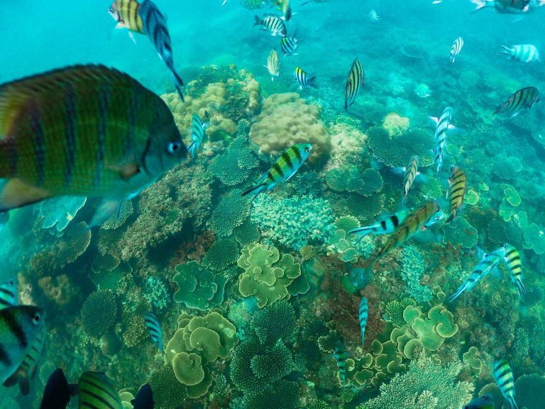 lagoi bay underwater view