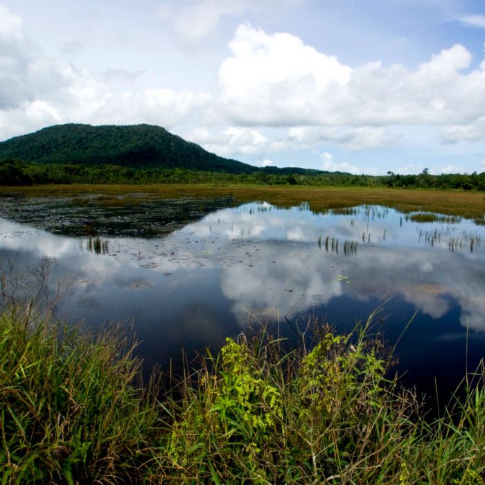 gunung bintan scenery