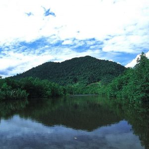 mount bintan island