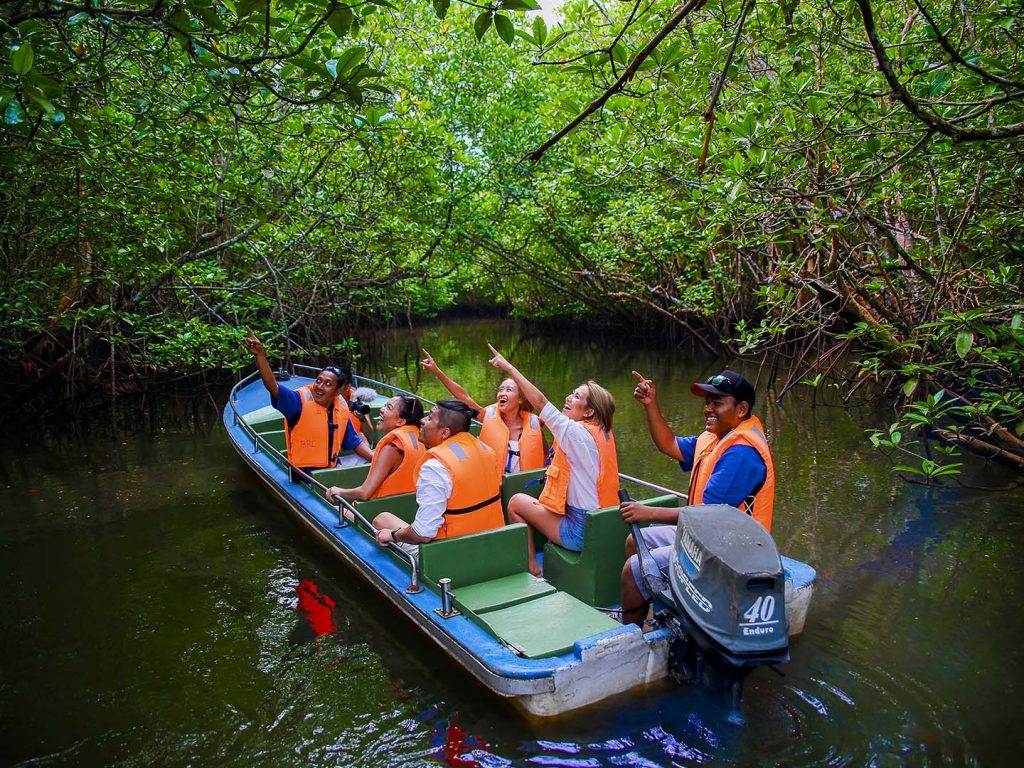 Bintan Mangrove Tour