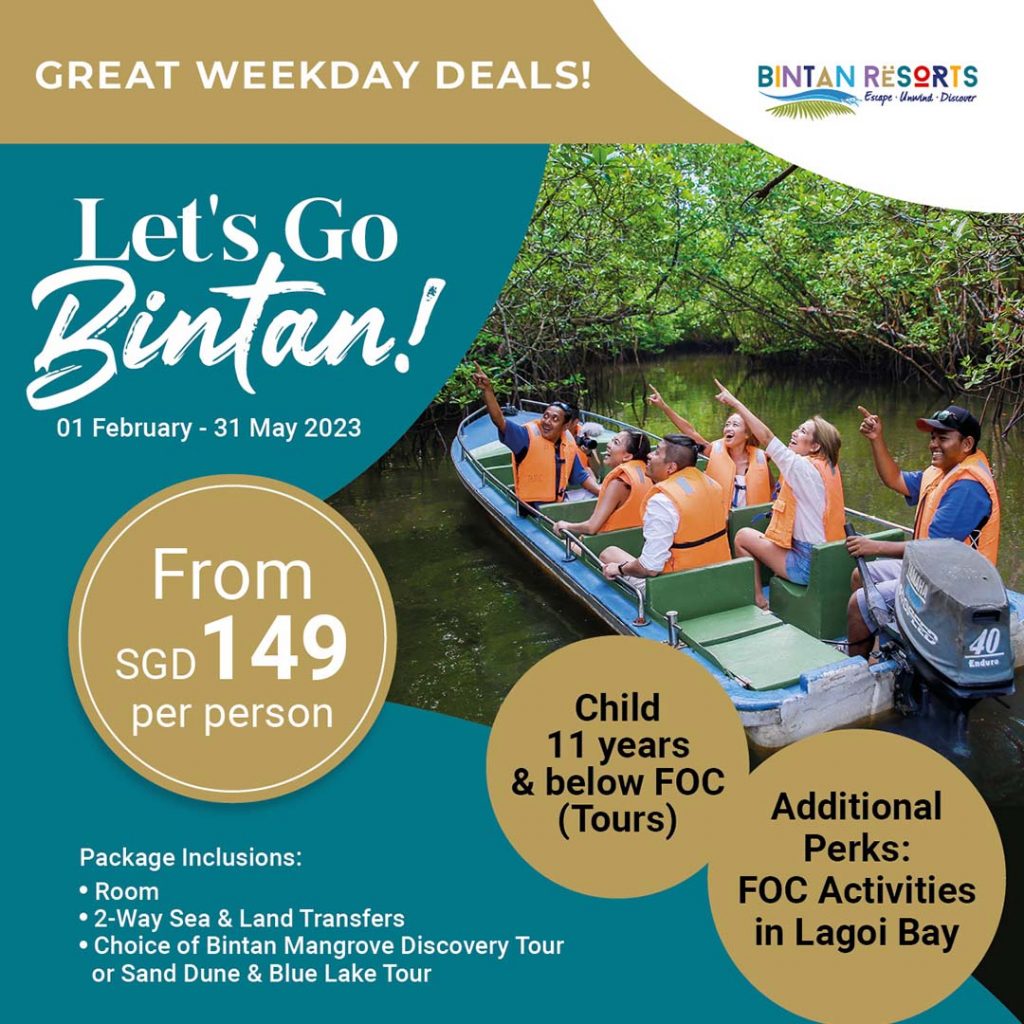 Let's Go Bintan — Sidebar Banner