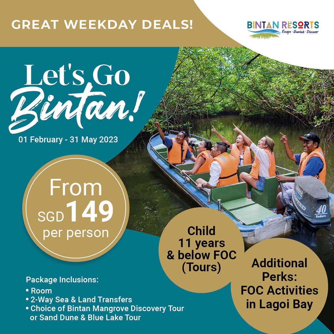 Let's Go Bintan - Sidebar Promotion