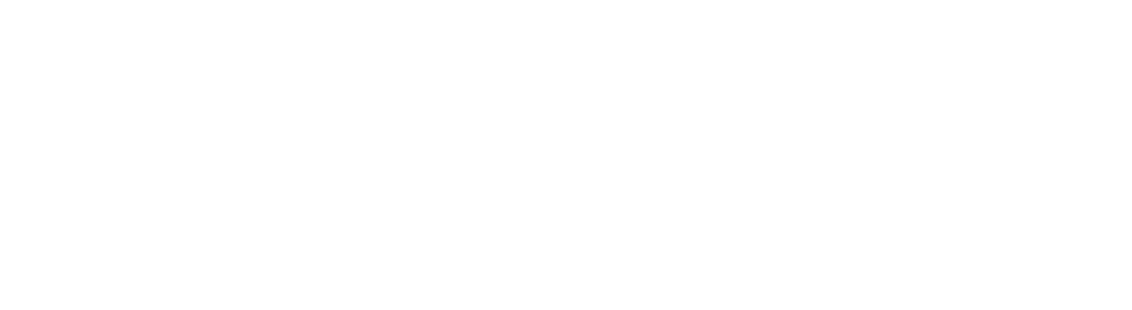 Bintan Triathlon Logo 2024